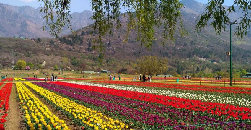 هلند ایران