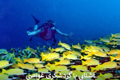 آشنایی با گردشگری غواصی