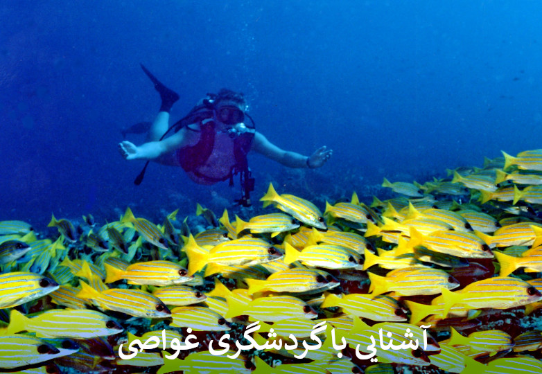 آشنایی با گردشگری غواصی