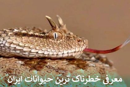 معرفی خطرناک ترین حیوانات ایران