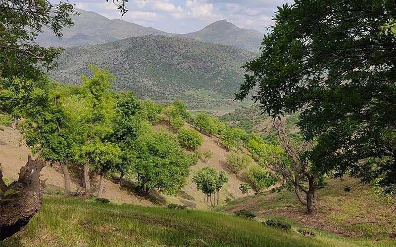 روستای نجنه