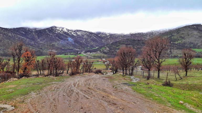 روستای نژو