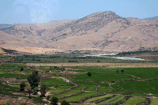 جاذبه های گردشگری ایذه