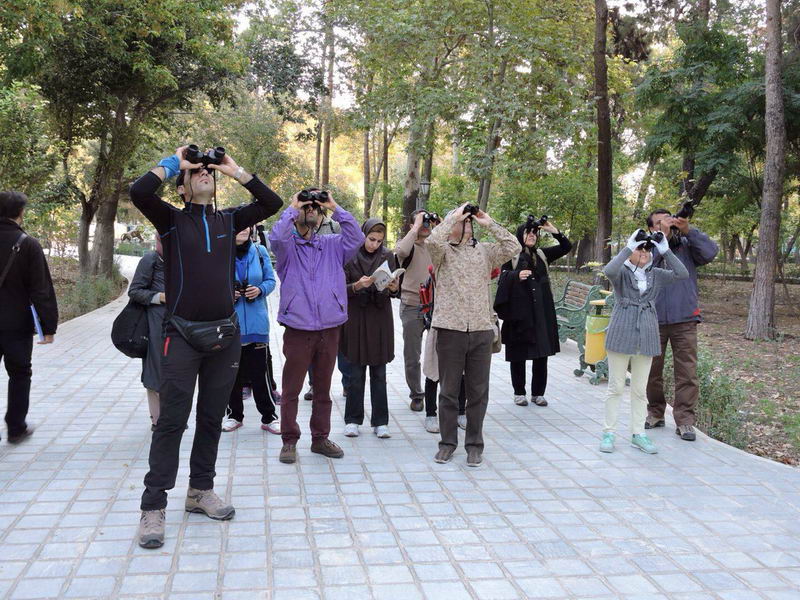 پرنده نگری