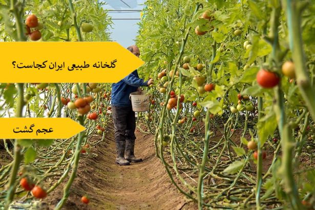 گلخانه طبیعی ایران