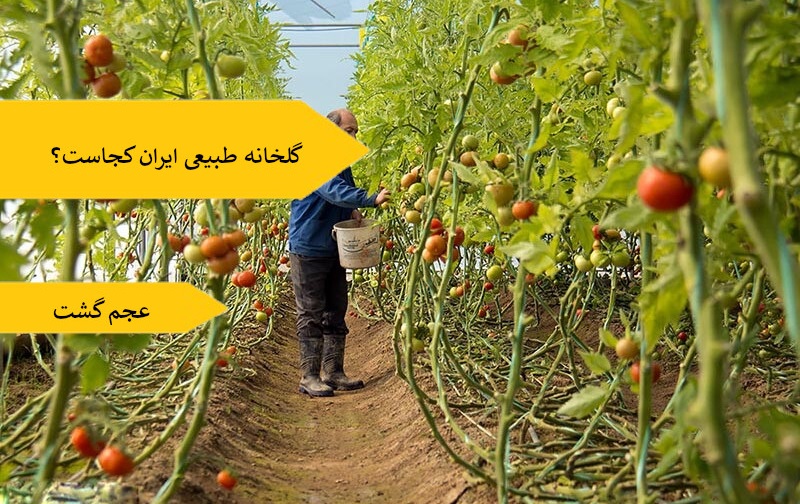 گلخانه طبیعی ایران