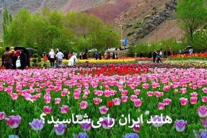 هلند ایران