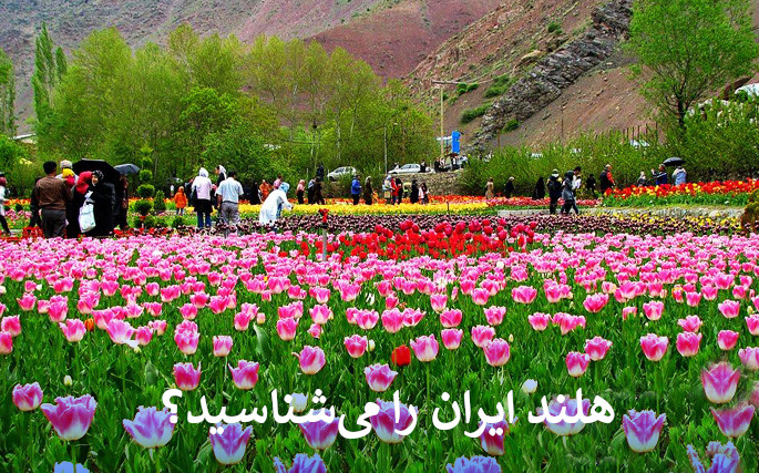 هلند ایران